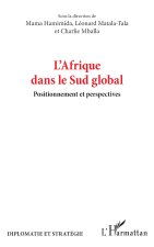 L’Afrique dans le Sud global