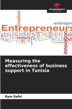 Measuring the effectiveness of business support in Tunisia