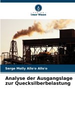 Analyse der Ausgangslage zur Quecksilberbelastung