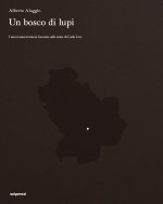 bosco di lupi. I nuovi anni trenta in Lucania sulle orme di Carlo Levi
