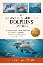 THE BEGINNER'S GUIDE TO DOLPHINS