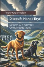 Ditectifs Hanes Eryri
