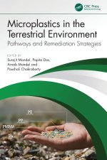 Microplastics in the Terrestrial Environment