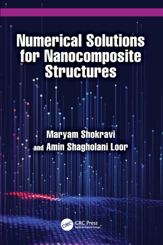 Numerical Solutions for Nanocomposite Structures