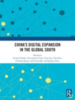 China's Digital Expansion in the Global South
