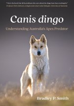 <i>Canis dingo</i>