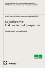 La justice civile: Etat des lieux et prospective