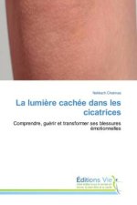 La lumière cachée dans les cicatrices