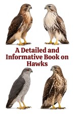 A Detailed and Informative Book on Hawks