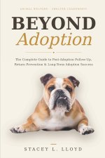 Beyond Adoption