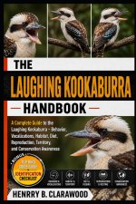 LAUGHING KOOKABURRA