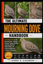 MOURNING DOVE