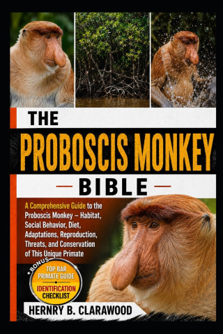 PROBOSCIS MONKEY