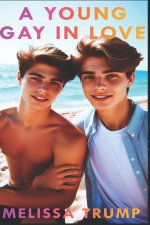 A YOUNG GAY IN LOVE