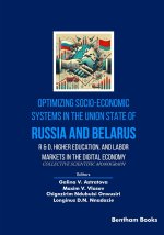 Optimizing Socio-Economic Systems in the Union State of Russia and Belarus