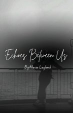 Echoes Between Us