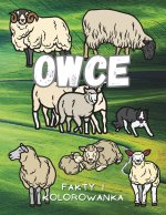 Owce