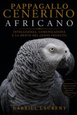 Pappagallo cenerino africano