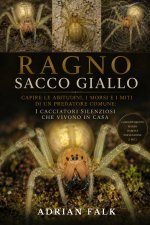 Ragno sacco giallo