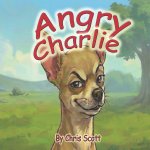Angry Charlie
