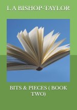 BITS & PIECES ( BOOK TWO)