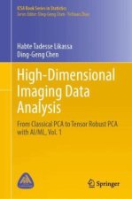 High-Dimensional Imaging Data Analysis