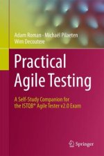 Practical Agile Testing