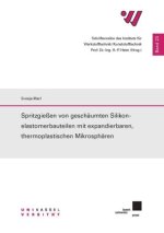 Spritzgießen von geschäumten Silikonelastomerbauteilen mit expandierbaren, thermoplastischen Mikrosphären