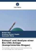 Entwurf und Analyse einer Bio-CNG-Anlage (komprimiertes Biogas)