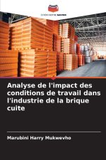 Analyse de l'impact des conditions de travail dans l'industrie de la brique cuite