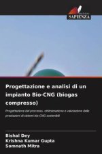 Progettazione e analisi di un impianto Bio-CNG (biogas compresso)
