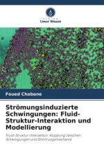 Strömungsinduzierte Schwingungen: Fluid-Struktur-Interaktion und Modellierung