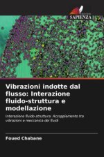 Vibrazioni indotte dal flusso: Interazione fluido-struttura e modellazione