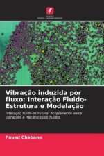 Vibração induzida por fluxo: Interação Fluido-Estrutura e Modelação