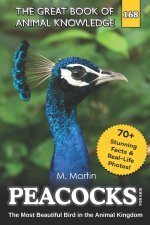 Peacocks for Kids