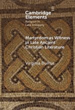 Martyrdom as Witness in Late Ancient Christian Literature