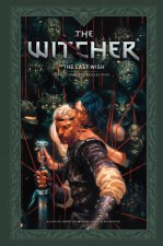 ANDRZEJ SAPKOWSKIS WITCHER LAST WISH