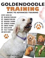 GOLDENDOODLE