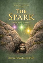 The Spark