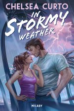 In Stormy Weather