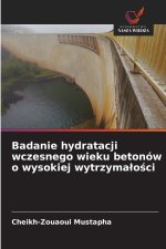 Badanie hydratacji wczesnego wieku betonów o wysokiej wytrzymałości
