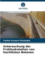 Untersuchung der Frühhydratation von hochfesten Betonen