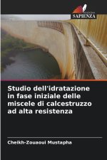 Studio dell'idratazione in fase iniziale delle miscele di calcestruzzo ad alta resistenza
