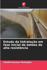 Estudo da hidratação em fase inicial de betões de alta resistência