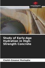 Study of Early-Age Hydration in High-Strength Concrete
