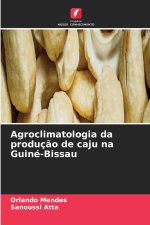 Agroclimatologia da produção de caju na Guiné-Bissau