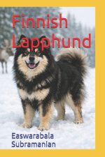 Finnish Lapphund