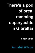 There's a pod of orca ramming superyachts in Gibraltar