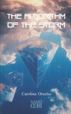 THE ALGORITHM OF THE STORM