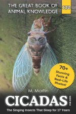 Cicadas for Kids